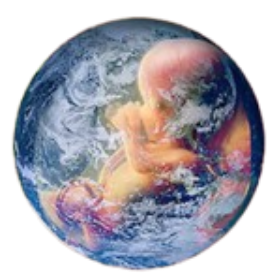 Beyond Being Human 2