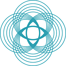 holomovement logo